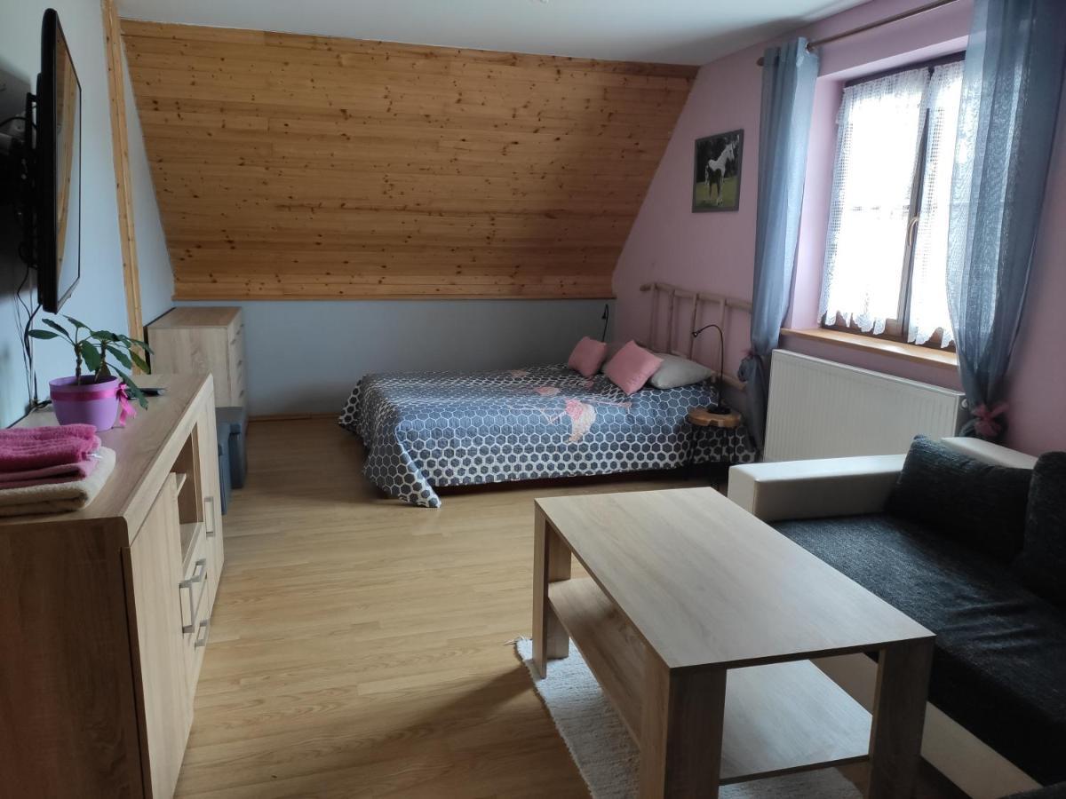 Hotel Ubytovani Pod Haniperkem Vodňany Zewnętrze zdjęcie